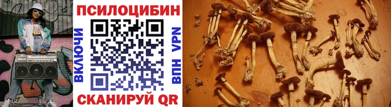 Галлюциногенные грибы ЛСД  blacksprut зеркало  Змеиногорск  закладка 